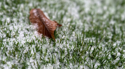 Kunstgras in de winter: wat moet u weten