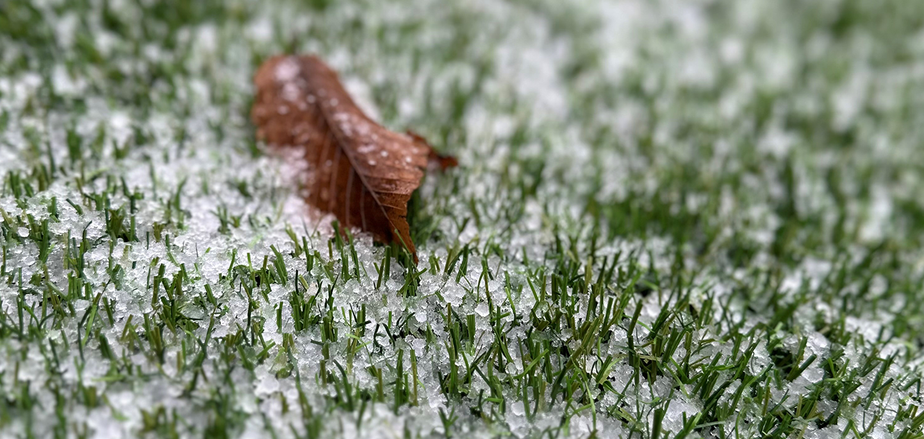 Kunstgras in de winter: wat moet u weten