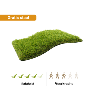 Staal - Kunstgras Amersfoort 38 mm