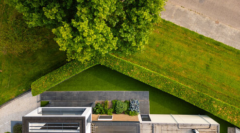 Kunstgras: de oplossing tegen hooikoorts?