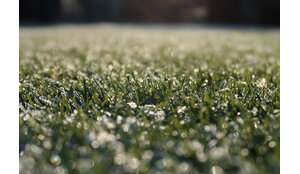 Kunstgras in de winter: wat je kunt verwachten (met praktische tips)