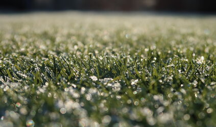 Kunstgras in de winter: wat je kunt verwachten (met praktische tips)