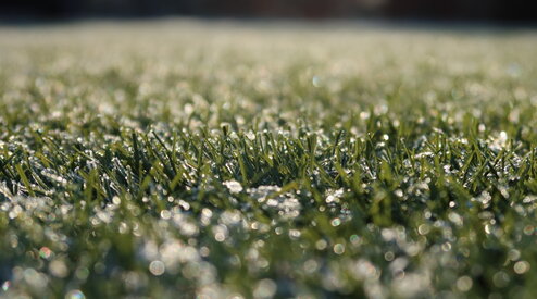 Kunstgras in de winter: wat je kunt verwachten 