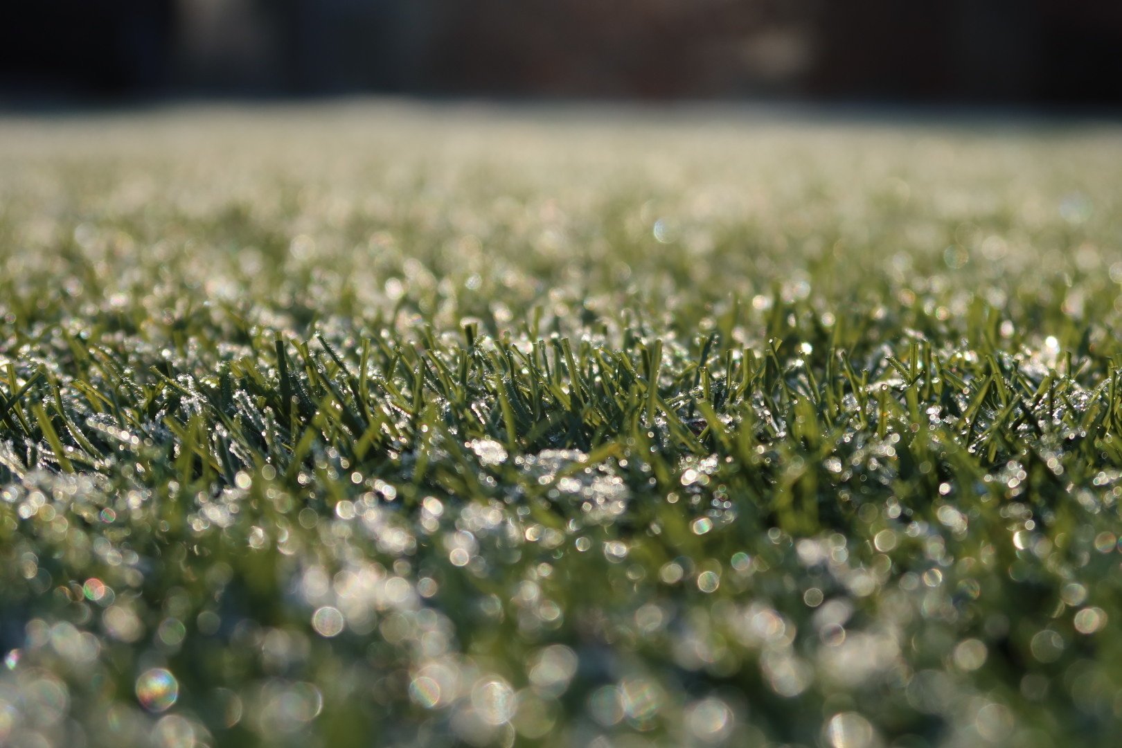 Kunstgras in de winter: wat je kunt verwachten 