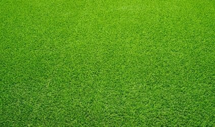 Kunstgras voor vogels