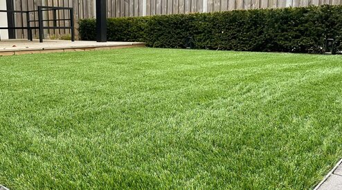 Natuurlijk kunstgras met een realistische uitstraling 