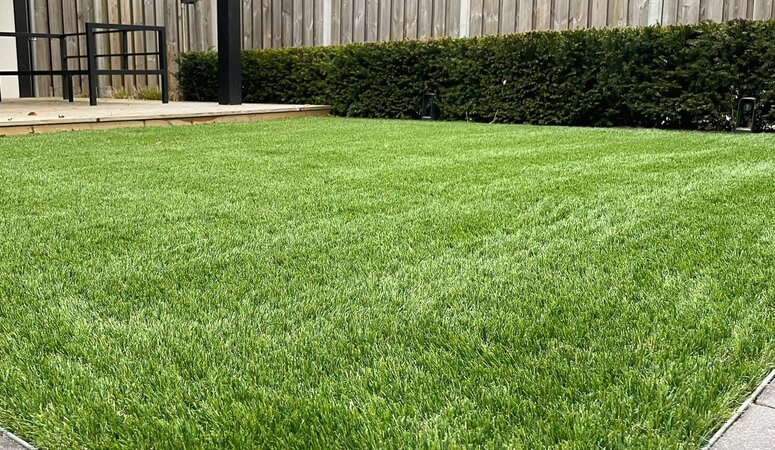 Natuurlijk kunstgras met een realistische uitstraling 