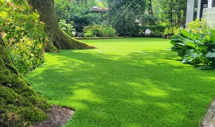 Stevig kunstgras voor intensiever gebruik 