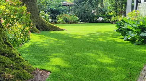 Stevig kunstgras voor intensiever gebruik 