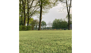 Restanten natuurlijk kunstgras: voordelig met een realistische uitstraling 