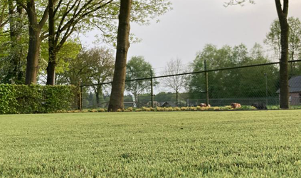 Restanten natuurlijk kunstgras: voordelig met een realistische uitstraling 