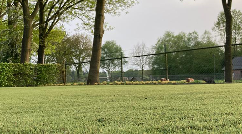 Restanten natuurlijk kunstgras: voordelig met een realistische uitstraling 