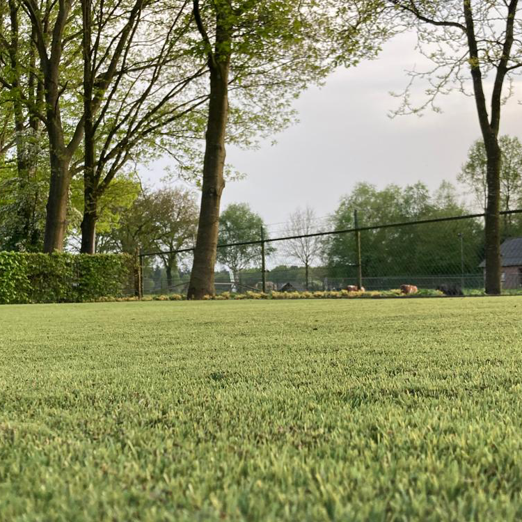 Restanten natuurlijk kunstgras: voordelig met een realistische uitstraling 