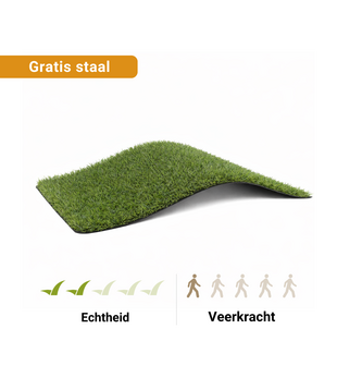 Staal - Kunstgras Heerde 20  mm
