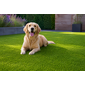 Kunstgras voor honden