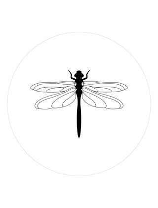 Muurcirkel (binnen) wit met Libelle - 30cm