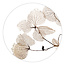 Zoedt Muurcirkel wit met gedroogde bladen
