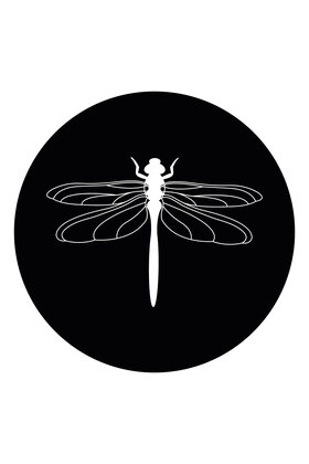 Muurcirkel (binnen) zwart met Libelle