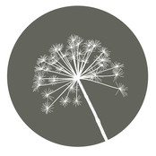 Muurcirkel olijfgroen met berenklauw - voor binnen