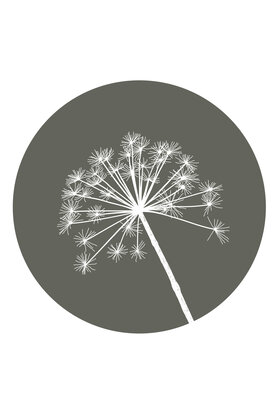 Muurcirkel (binnen) olijfgroen met berenklauw - 40cm