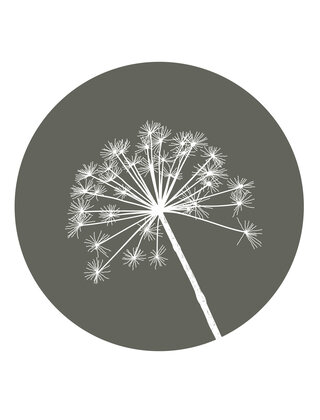 Muurcirkel (binnen) olijfgroen met berenklauw - 40cm