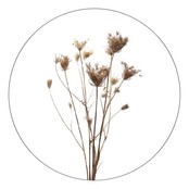 Muurcirkel gedroogde bloemen - voor binnen Muurcirkel gedroogde bloemen - voor binnen