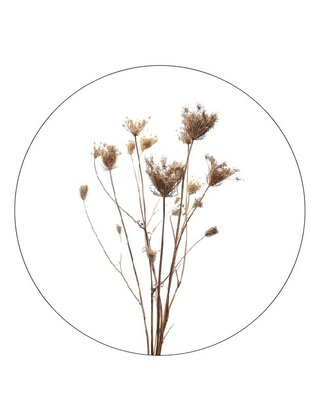 Muurcirkel (binnen) gedroogde bloemen - in 3 formaten
