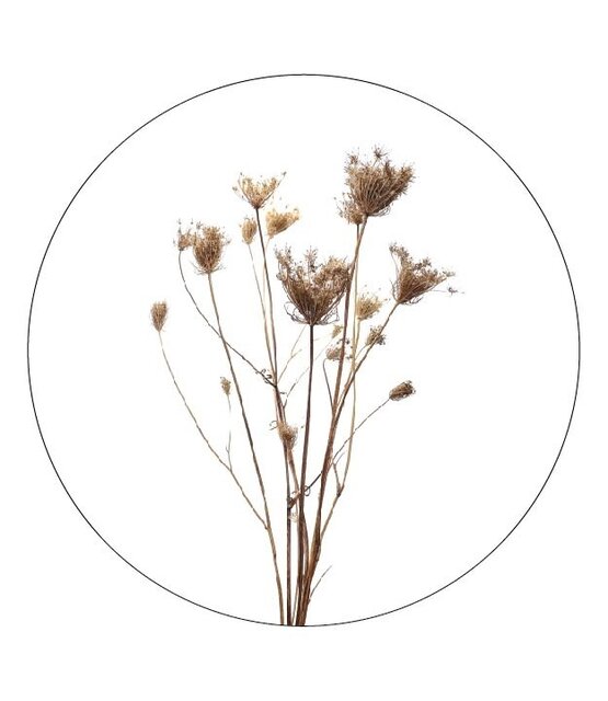 Muurcirkel gedroogde bloemen - voor binnen Muurcirkel gedroogde bloemen - voor binnen