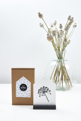 Veel sterkte, cadeautje: huisje met berenklauw