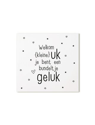Cadeaukaartje vierkant Welkom kleine uk, je bent een budeltje geluk