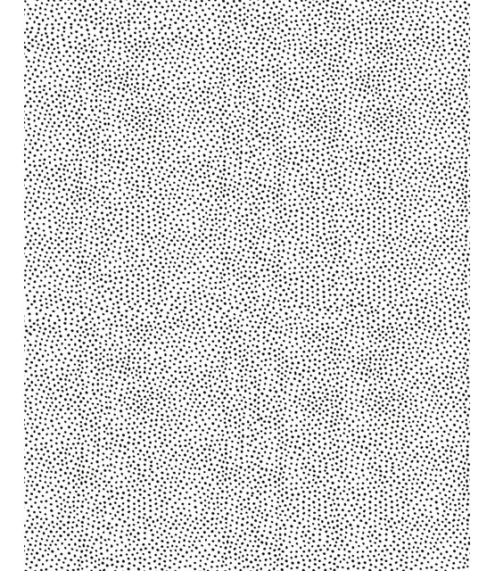 Rol cadeaupapier wit met zwarte dots 50x300cm