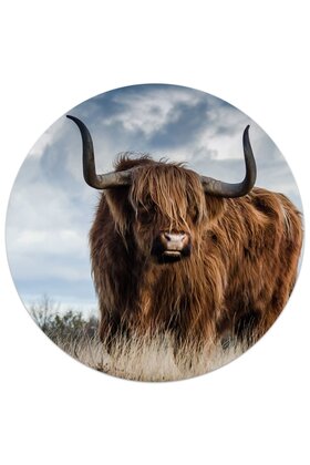 Muurcirkel (binnen) Schotse Hooglander - in 3 formaten