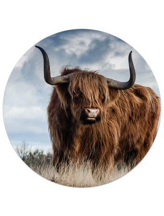 Muurcirkel (binnen) Schotse Hooglander - in 3 formaten