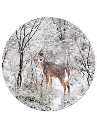 Muurcirkel (binnen) Hert - in 3 formaten