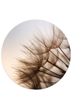 Muurcirkel (binnen) foto paardenbloem bruin - 3 formaten