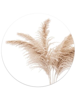 Muurcirkel (binnen) foto pampas gras - 3 formaten