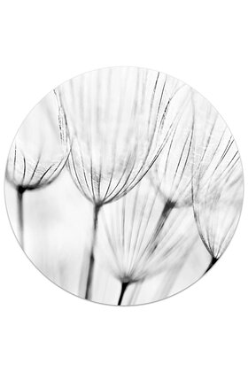 Muurcirkel (binnen) foto zwartwit blaasbloem - 3 formaten