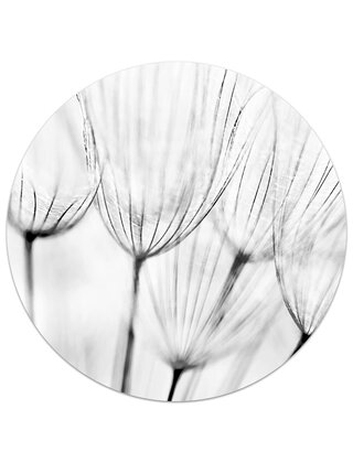 Muurcirkel (binnen) foto zwartwit blaasbloem - 3 formaten