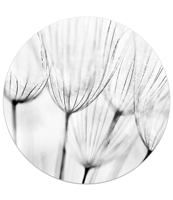 Muurcirkel foto zwartwit blaasbloem