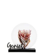 Muurcirkel standaard zwart hout - tekst Geniet Muurcirkel standaard zwart hout - tekst Geniet