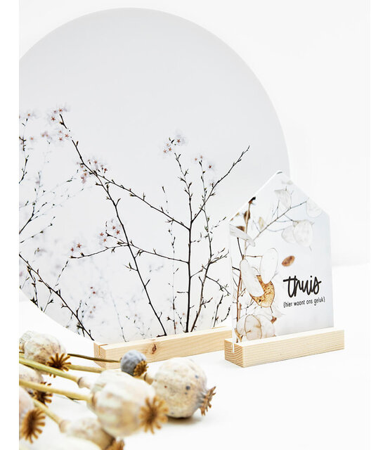 Muurcirkel standaard blank hout - 9cm