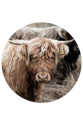 Muurcirkel (binnen) Schotse hooglander - 3 formaten