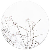 Muurcirkel foto bloesem