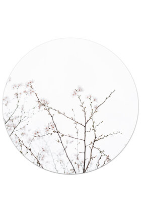 Muurcirkel (binnen) foto bloesem - 3 formaten