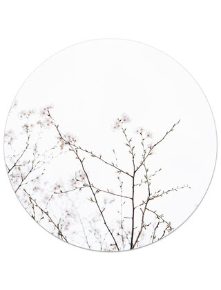 Muurcirkel (binnen) foto bloesem - 3 formaten