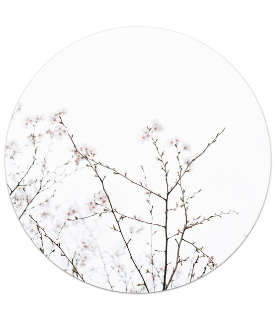 Muurcirkel foto bloesem