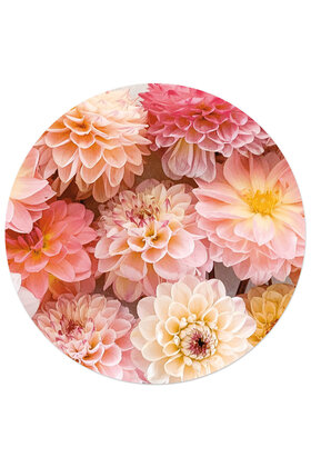 Muurcirkel (binnen) foto dahlia's - 3 formaten