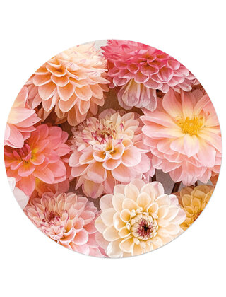 Muurcirkel (binnen) foto dahlia's - 3 formaten