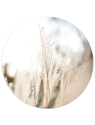 Muurcirkel (binnen) foto grassen - 3 formaten