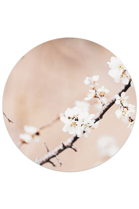 Muurcirkel (binnen) foto kersenbloesem - 3 formaten